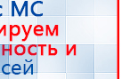 СКЭНАР-1-НТ (исполнение 01 VO) Скэнар Мастер купить в Елабуге, Аппараты Скэнар купить в Елабуге, Дэнас официальный сайт denasolm.ru