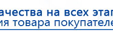 СКЭНАР-1-НТ (исполнение 02.1) Скэнар Про Плюс купить в Елабуге, Аппараты Скэнар купить в Елабуге, Дэнас официальный сайт denasolm.ru