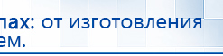СКЭНАР-1-НТ (исполнение 01 VO) Скэнар Мастер купить в Елабуге, Аппараты Скэнар купить в Елабуге, Дэнас официальный сайт denasolm.ru