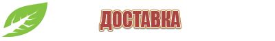 Аппараты Скэнар